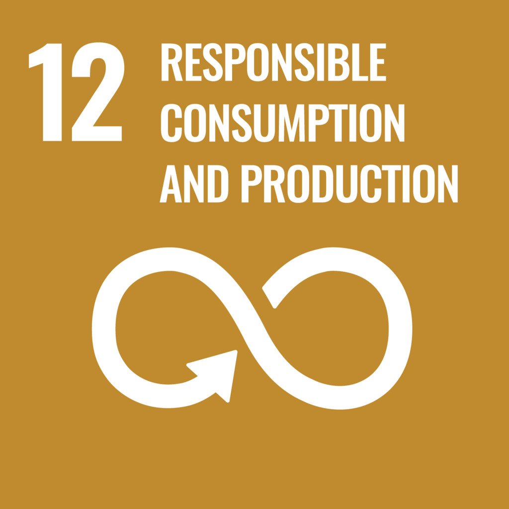 SDG 12 logo